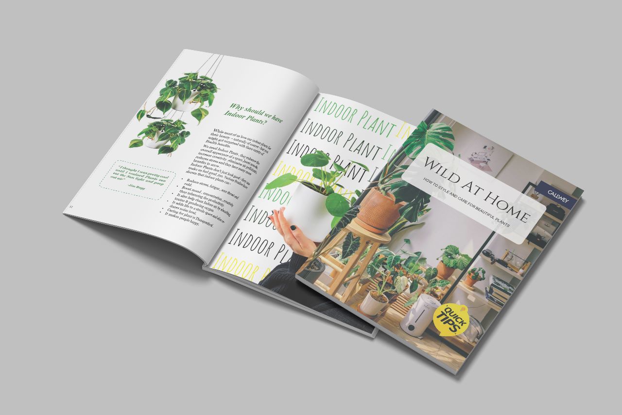 Publication Design